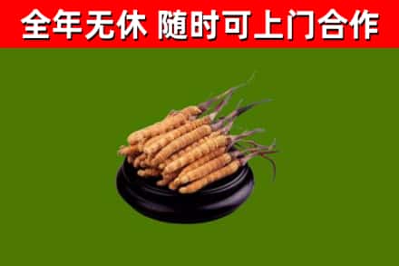 芗城区回收冬虫夏草